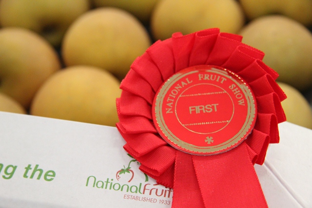 Russet 1st prize large