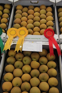 Russet Displayed 2011