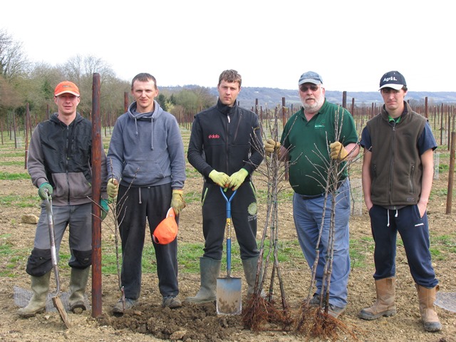 saddlebacks-planting