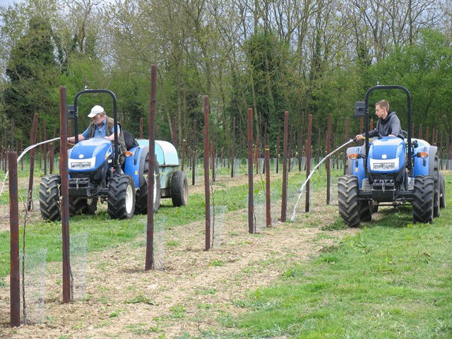 watering-saddlebacks